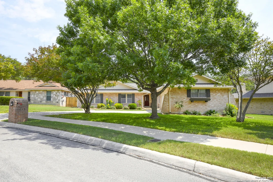 Photo of 1415 Synandra