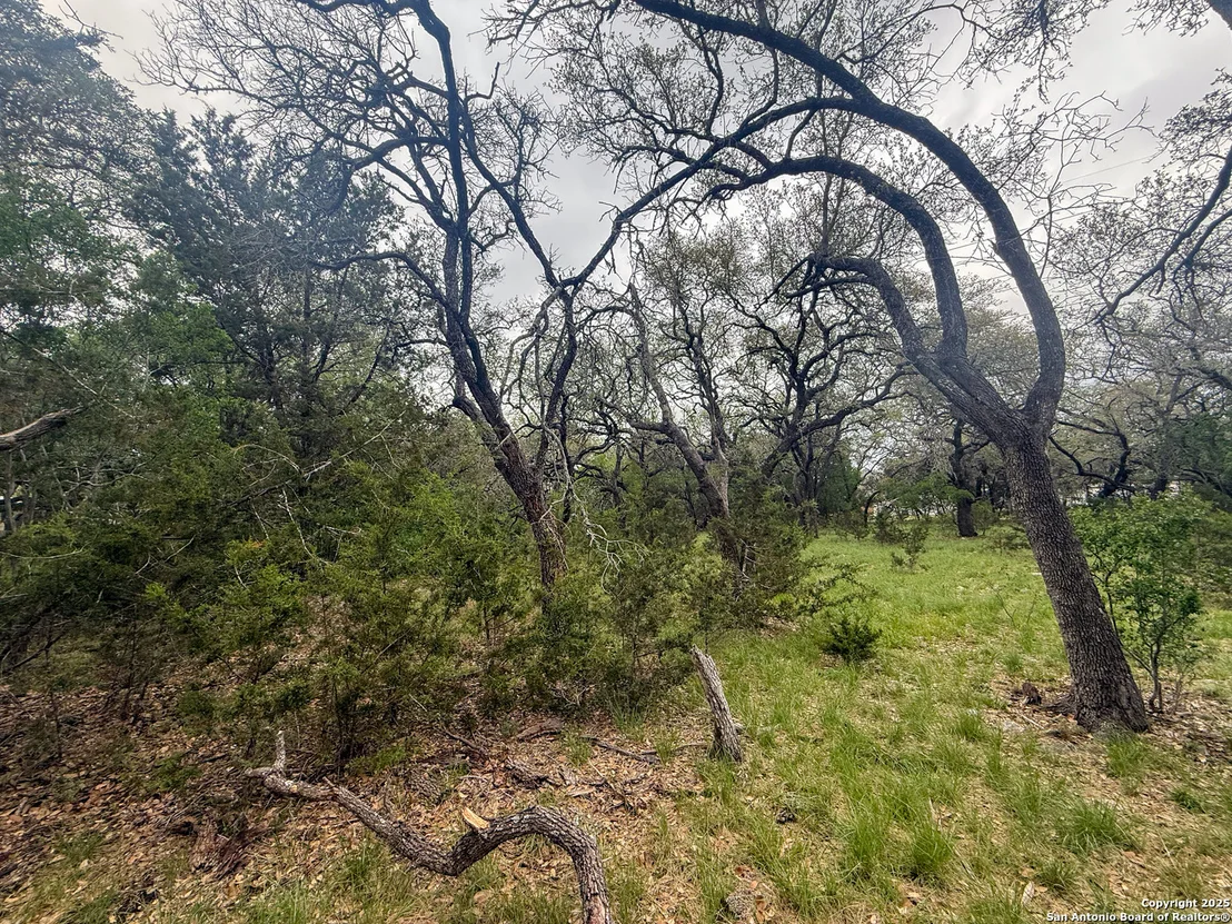 Photo of 23407 Osceola Bluff
