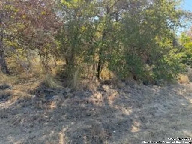 Photo of 23926 US 281 South