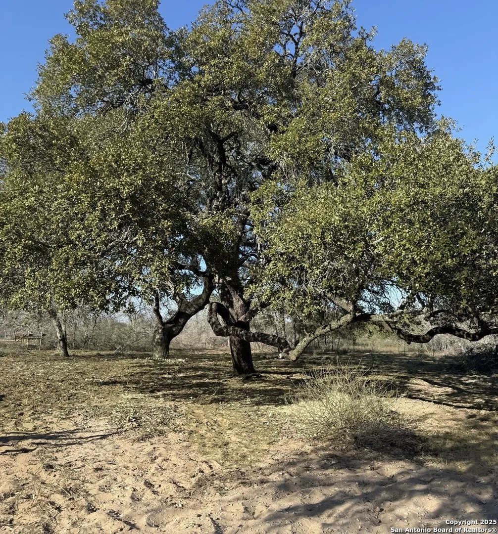 Photo of 2299 county road 770