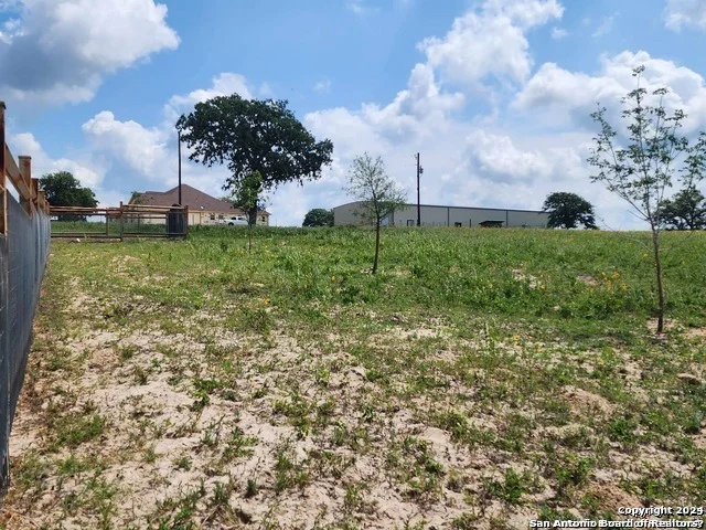 Photo of 233 TRIPLE BEND DR