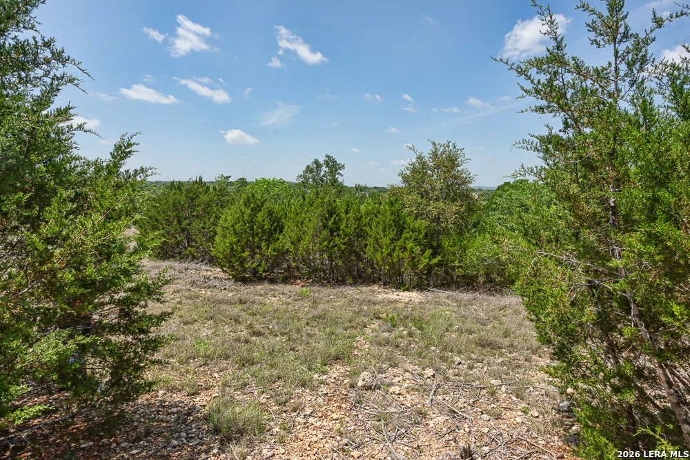 Photo of 127 EL NOPAL