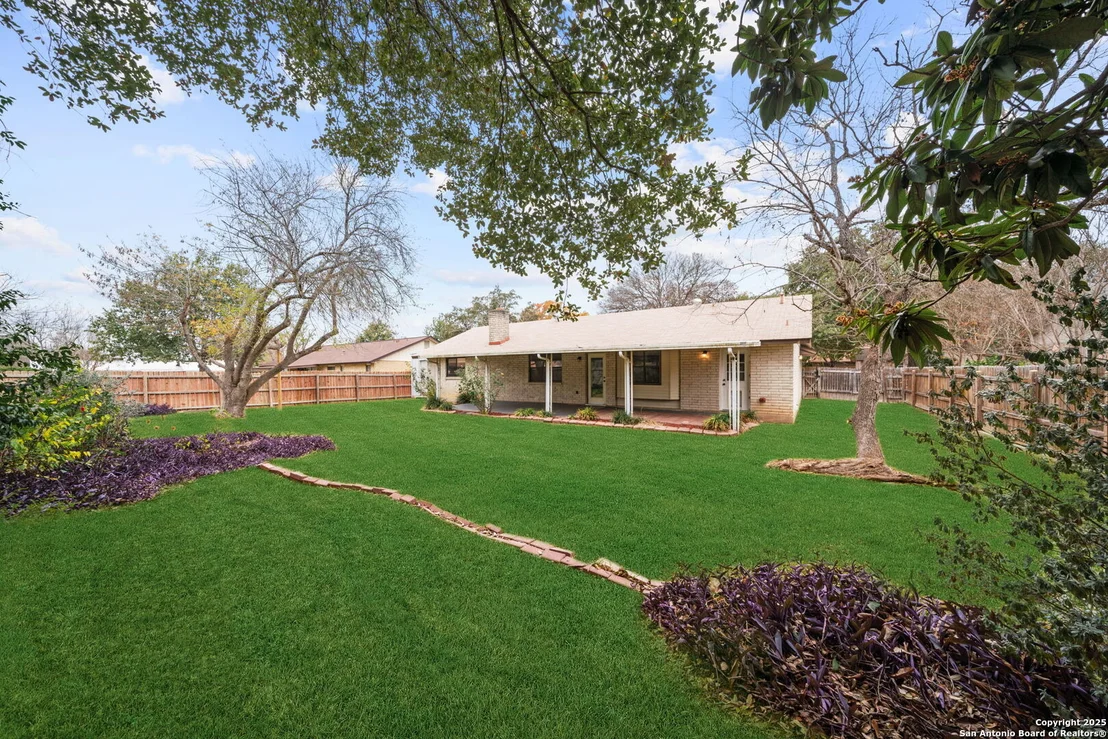 Photo of 1606 forest spring
