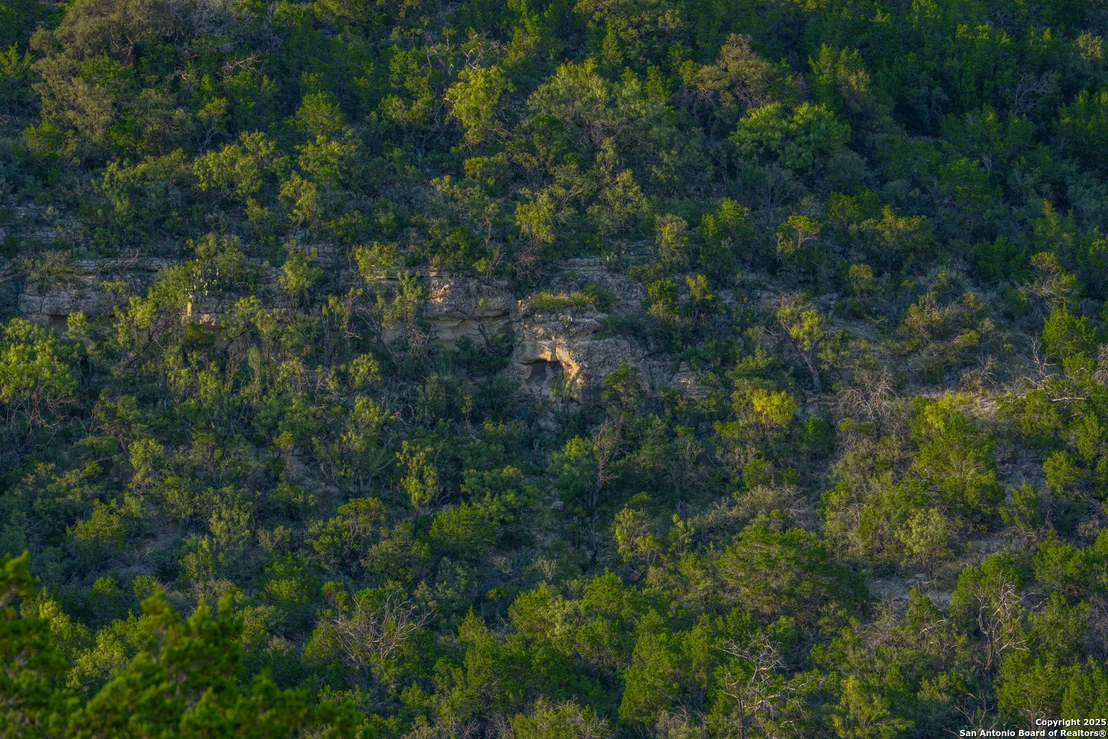 Photo of TBD FM 2169