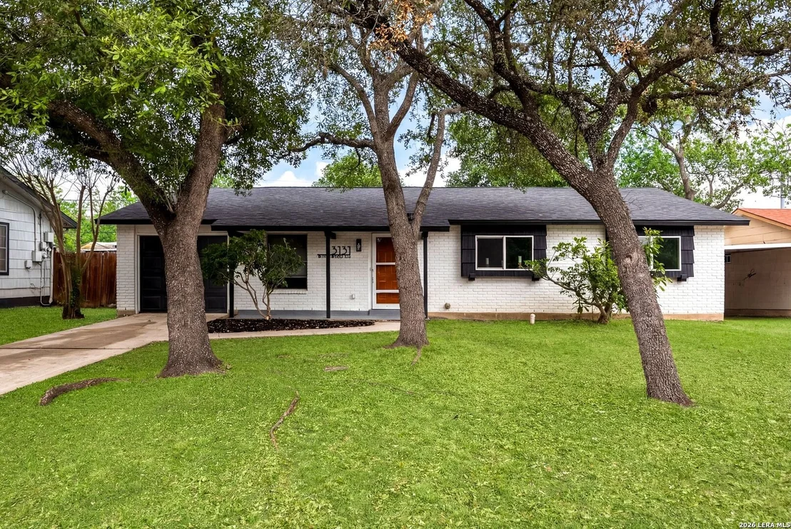 Photo of 3131 Whitewing