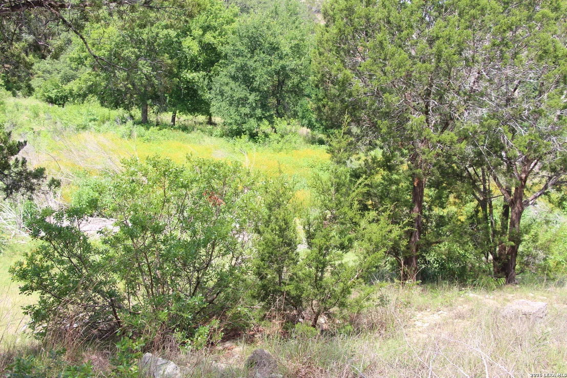 Photo of LOT 52 Clear Water Cyn