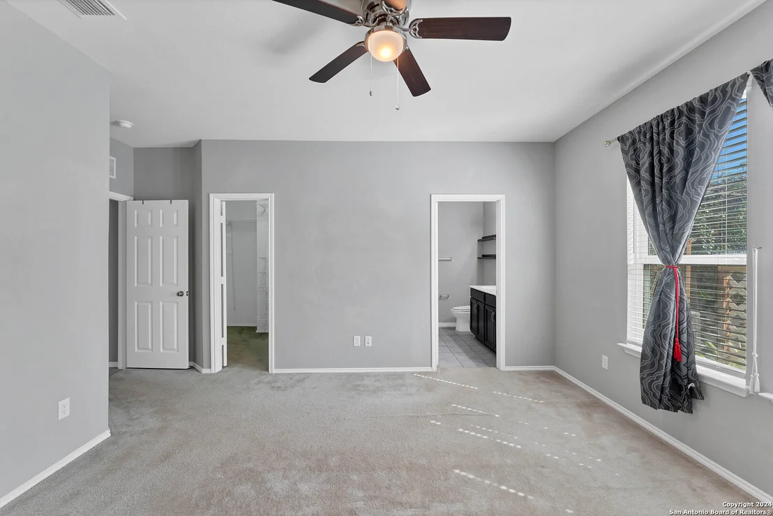 Photo of 1442 POLYDORA