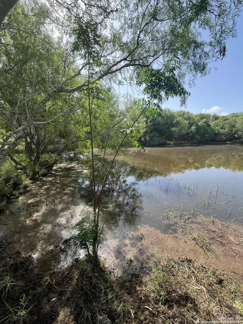 Photo of 707 deer trail
