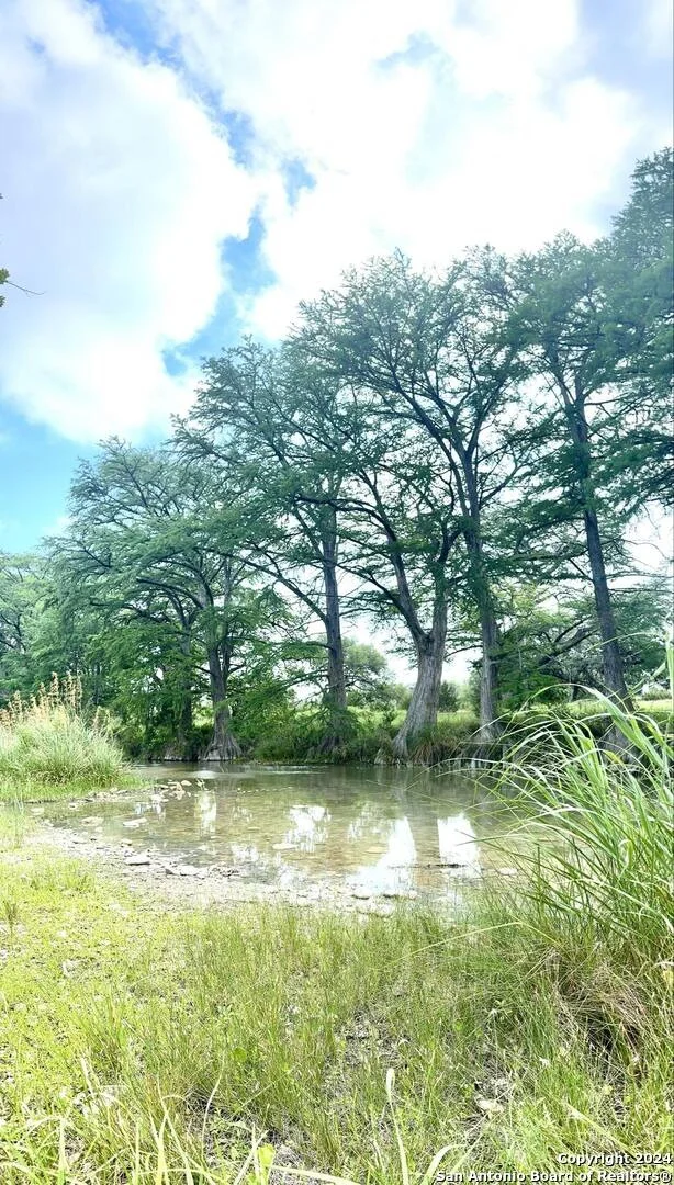 Photo of 29 LONESOME DOVE