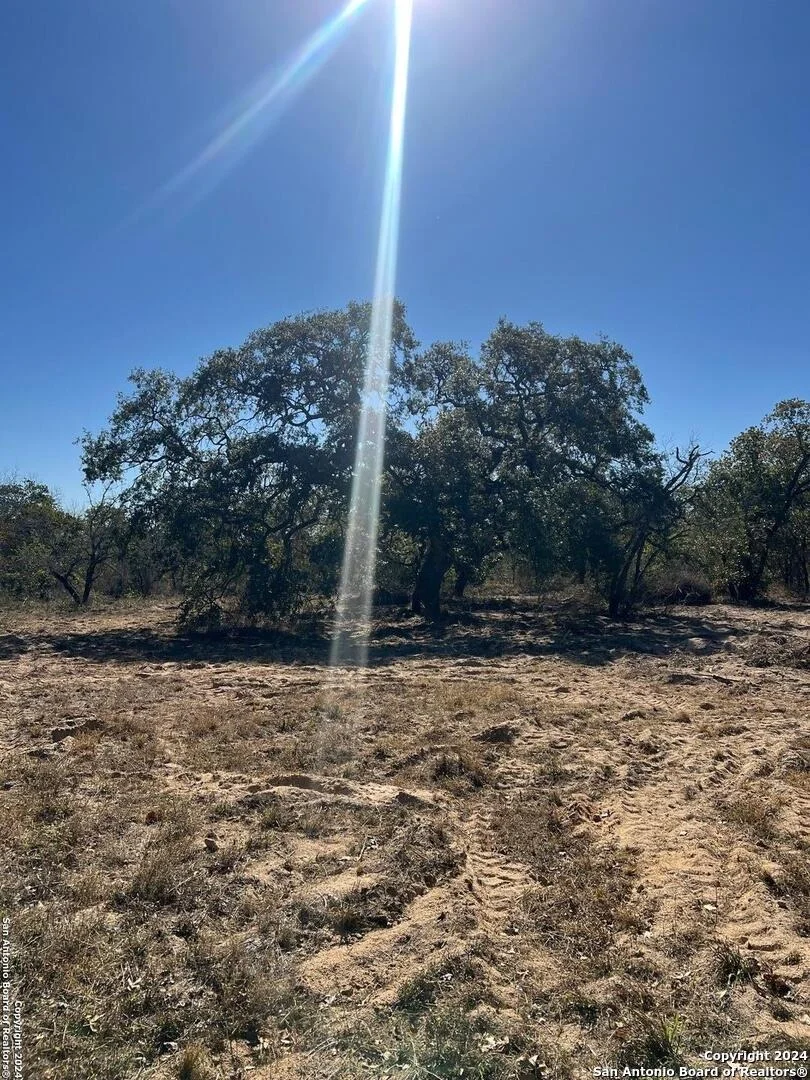 Photo of 1155 Clear lake loop