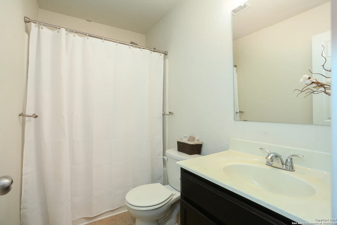 Photo of 142 Prato Palma