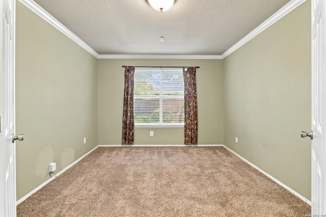 Photo of 11614 Huisache Daisy