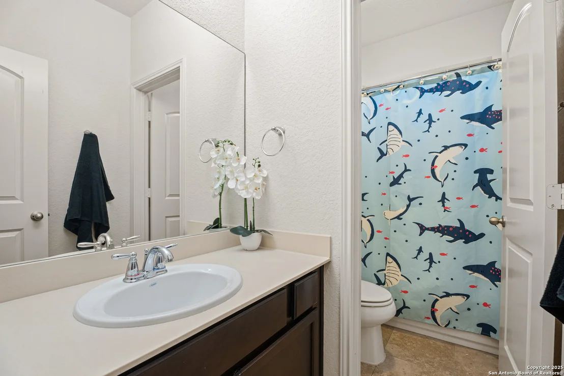 Photo of 1706 Nightshade