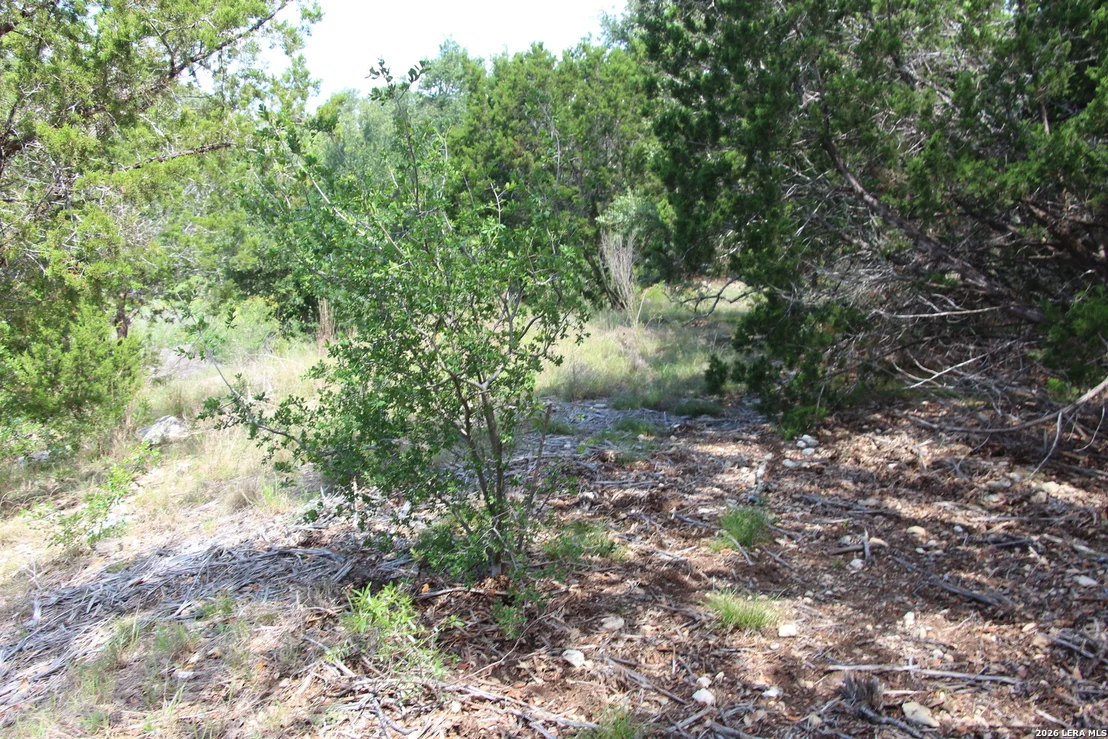 Photo of LOT 52 Clear Water Cyn