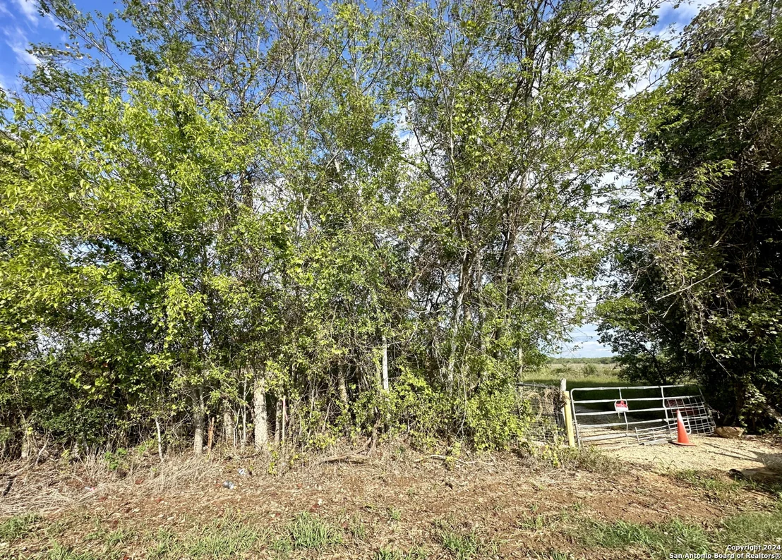 Photo of 14150 LUCKEY RD