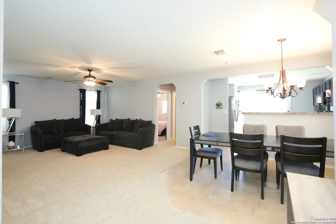 Photo of 142 Prato Palma