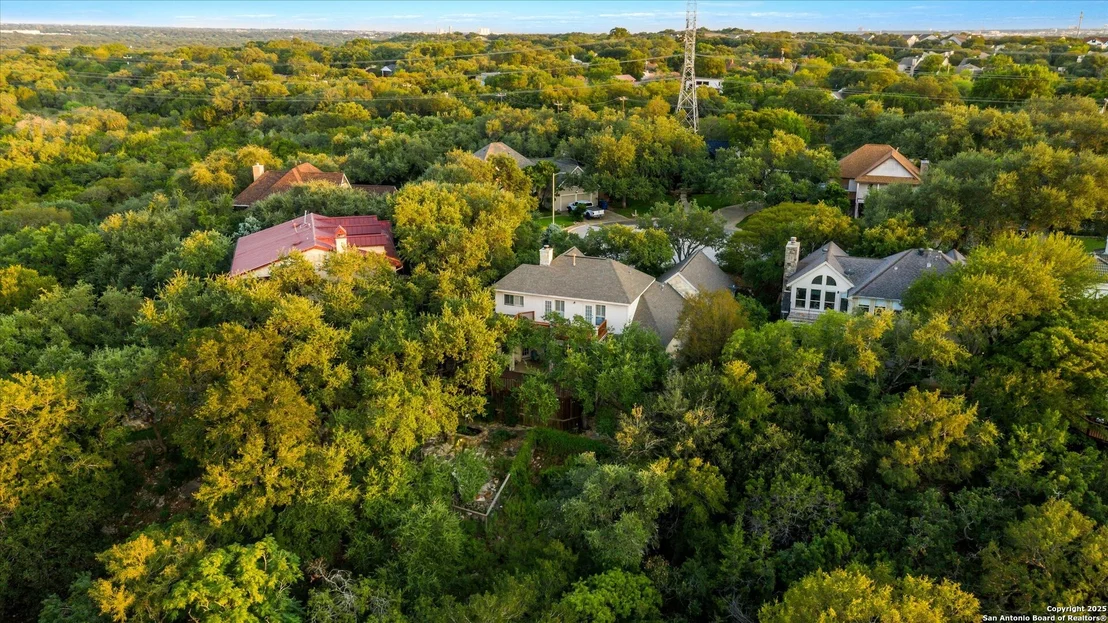 Photo of 2663 Rim Oak