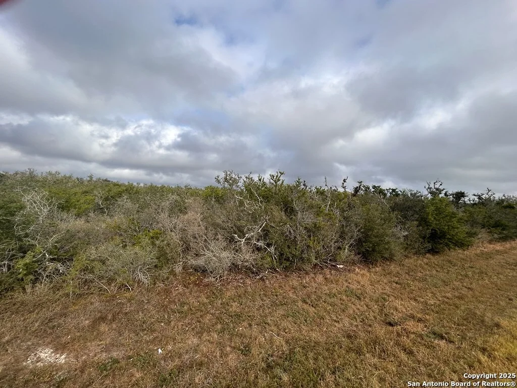 Photo of TBD Hackberry Dr