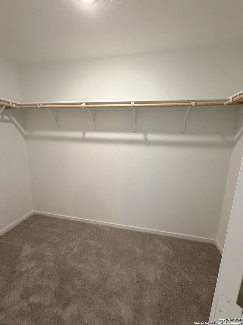 Photo of 5739 alope