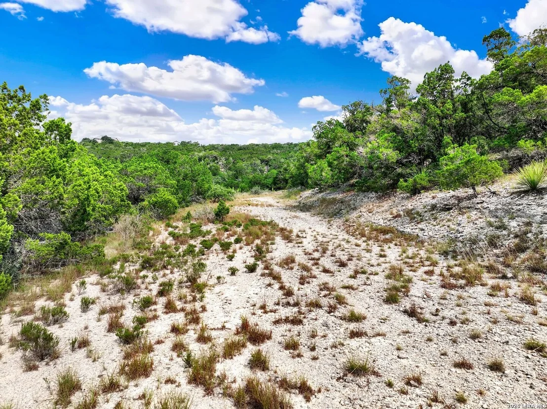 Photo of LOT 101 Pr 1712