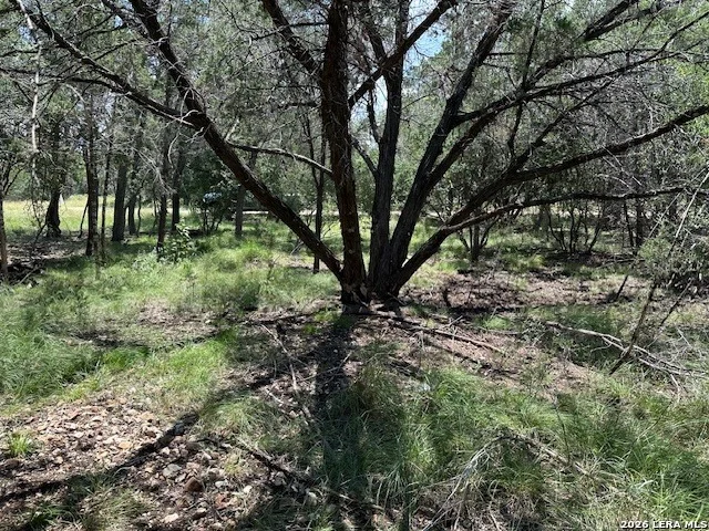 Photo of 533 SQUIRREL BND