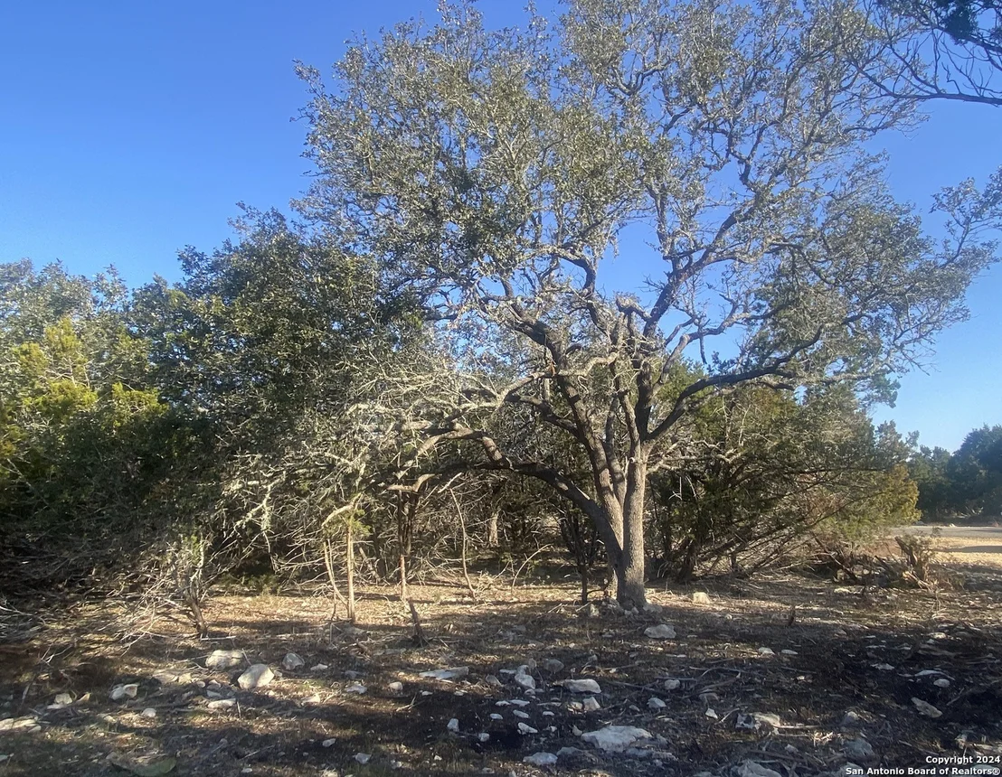 Photo of 132 WINECUP