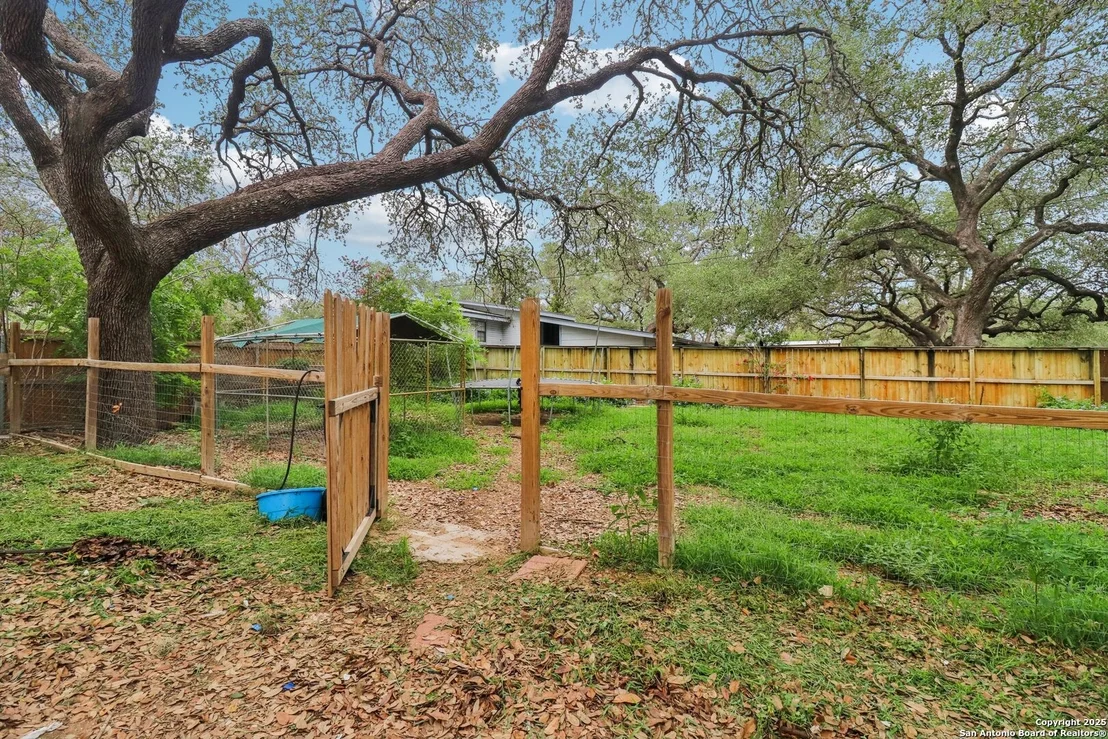 Photo of 503 Mockingbird