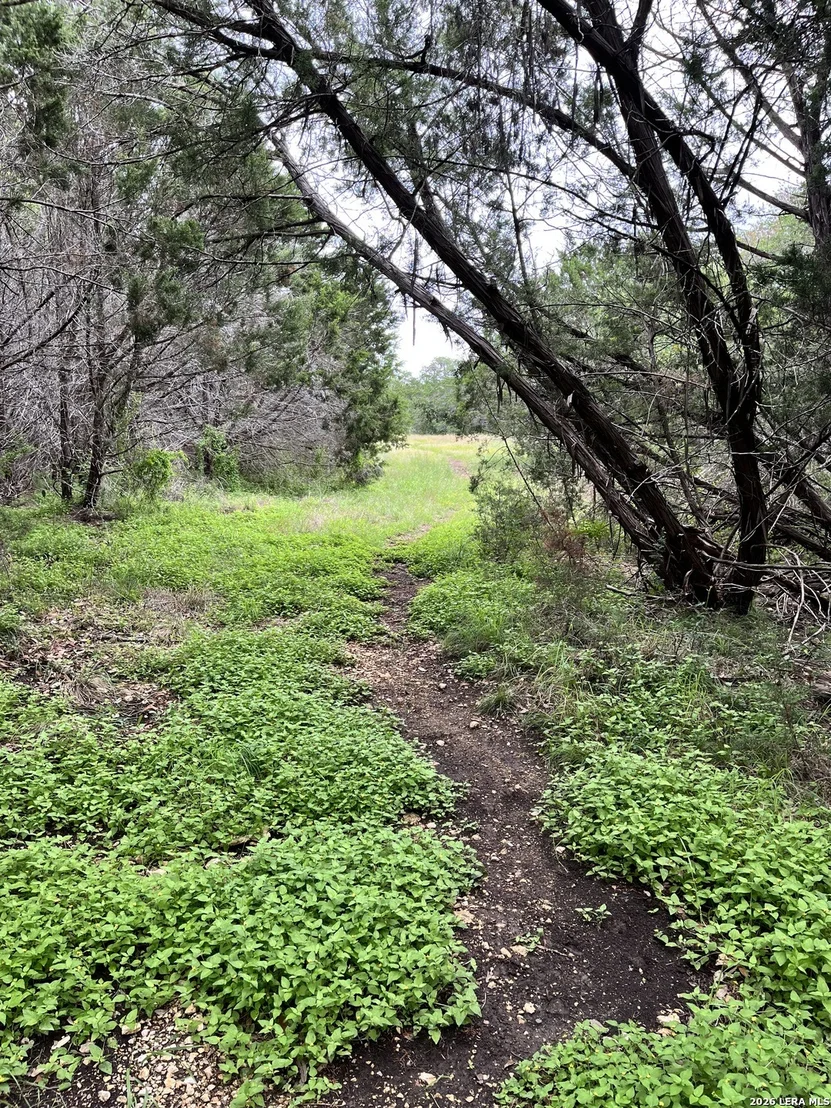 Photo of 1836 Lookout Frst