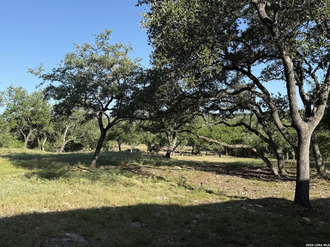 Photo of 134 Lantana Cerro