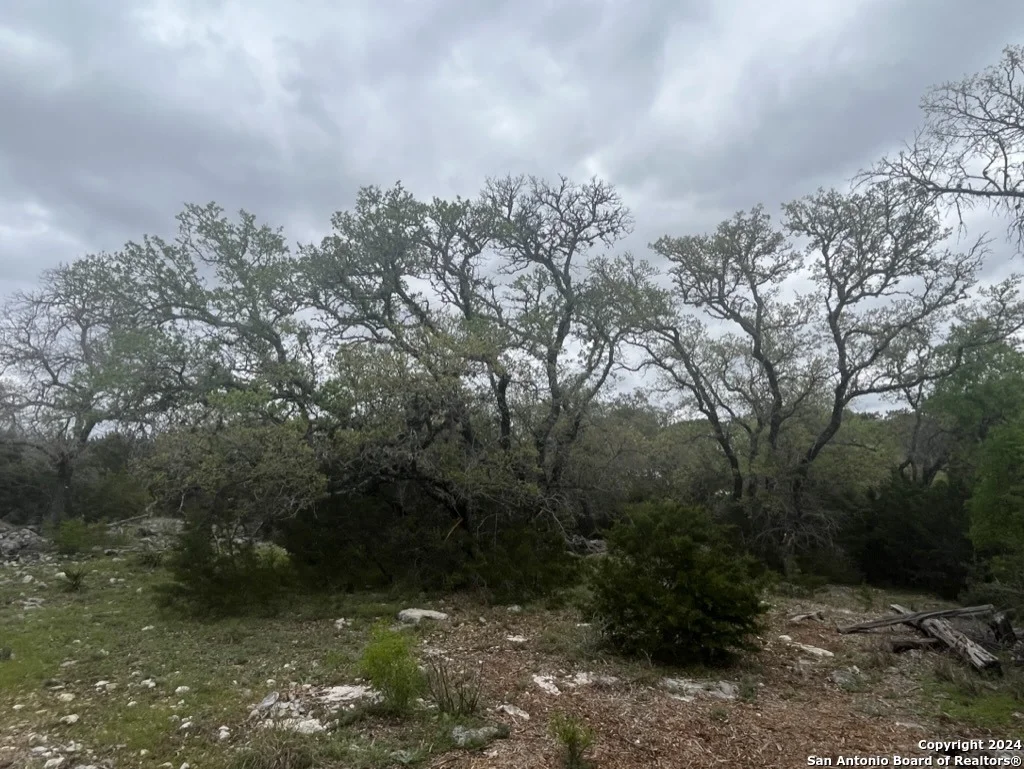 Photo of 192 MACAW LN
