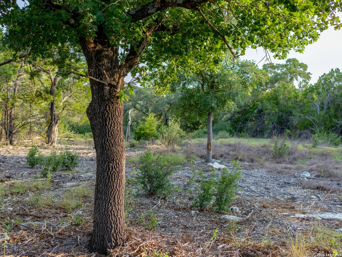 Photo of LOT 12 Monterey Trail