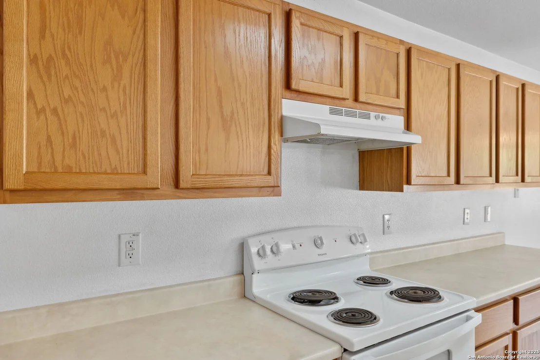 Photo of 284 Texas Mulberry