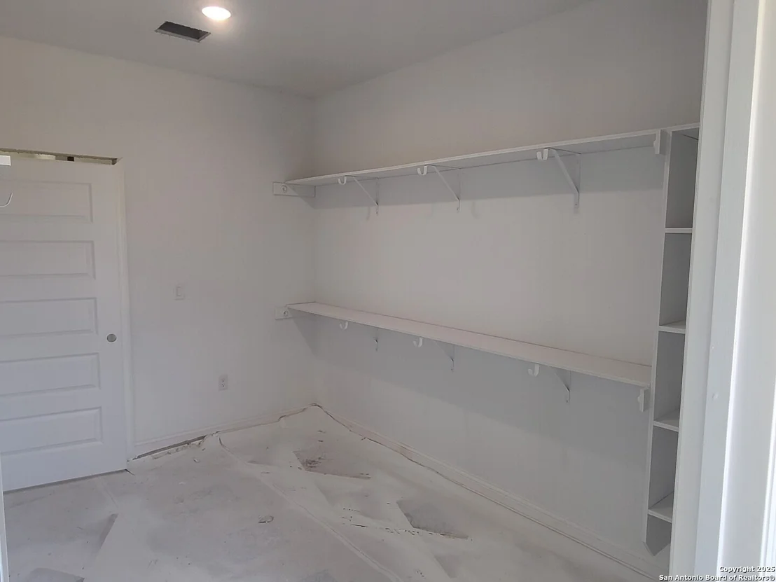 Photo of 52 Peach Tree