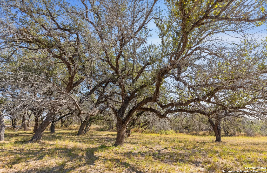 Photo of 1304 County Road 777