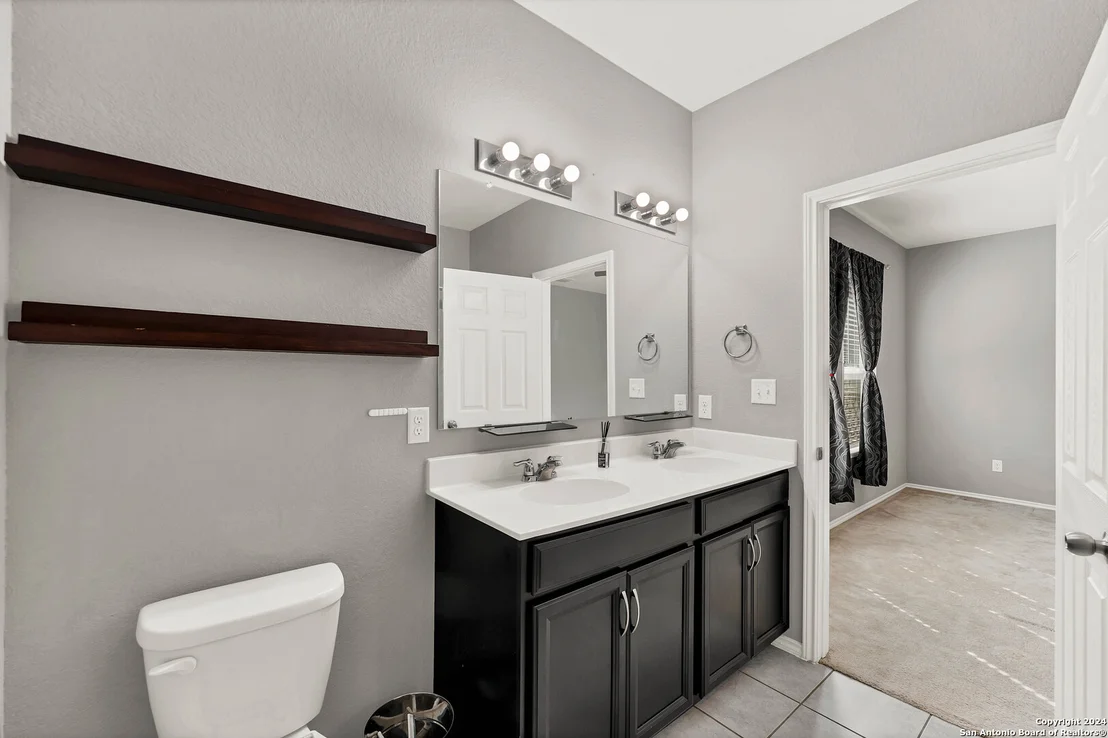 Photo of 1442 POLYDORA