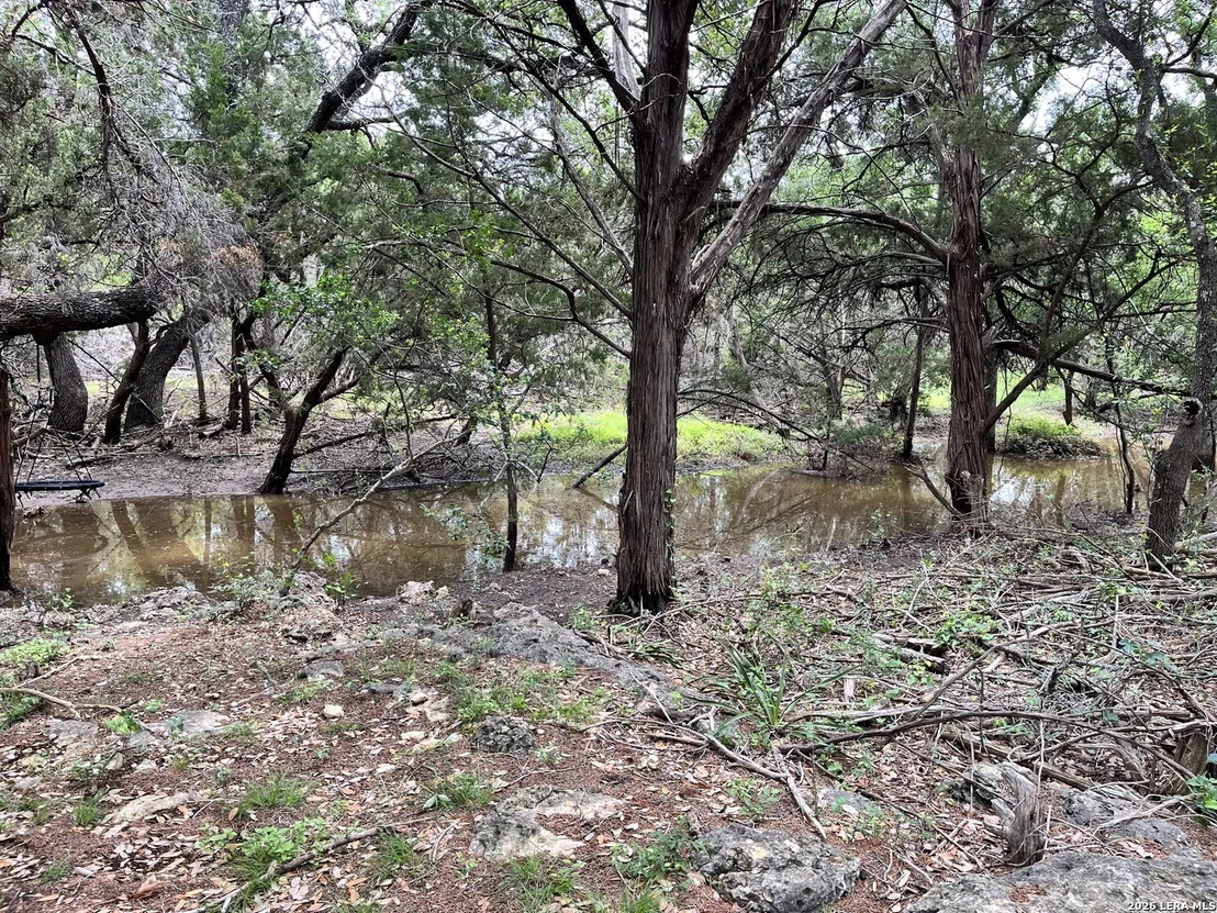 Photo of 1836 Lookout Frst