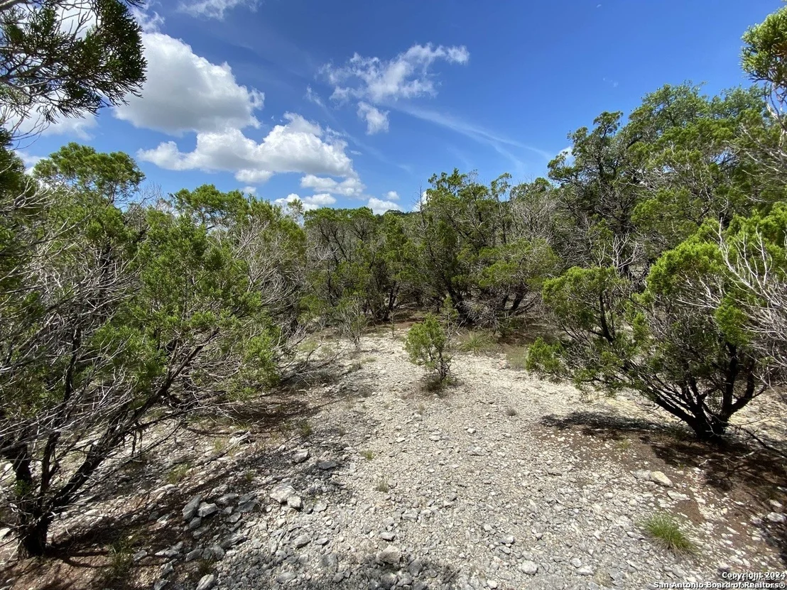 Photo of 391 PR 1748 Lot 391