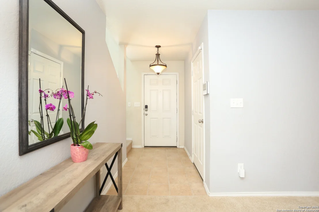 Photo of 142 Prato Palma