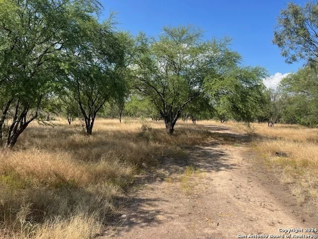 Photo of LOT 94 Pr 2320