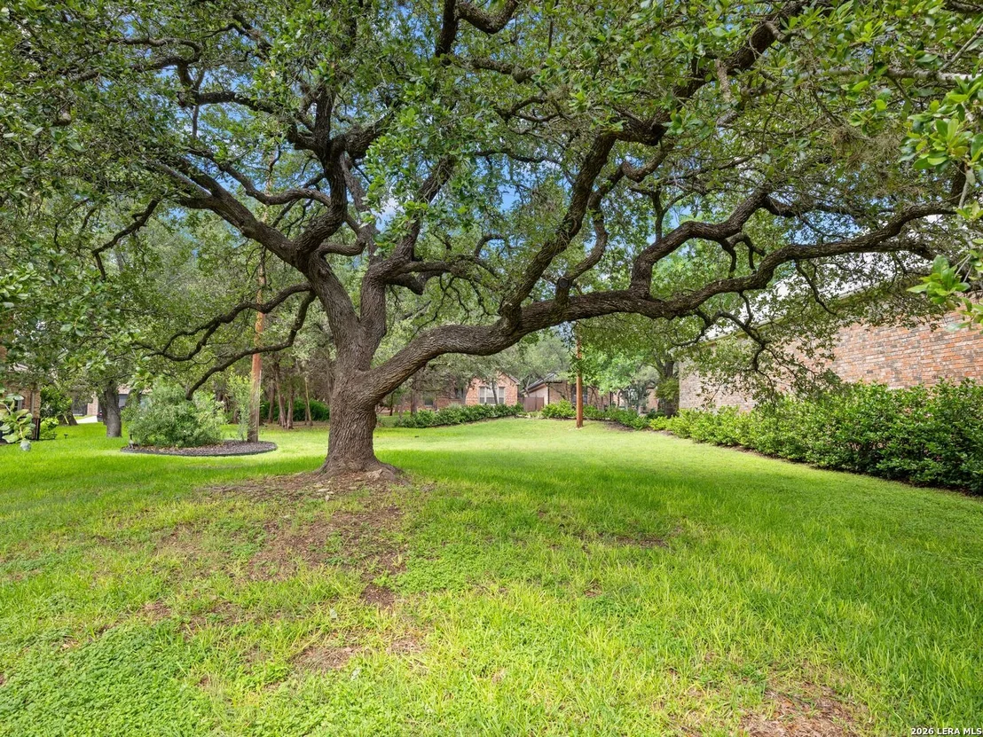 Photo of 2 Century Glen