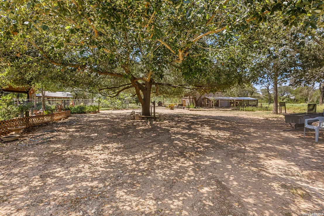 Photo of 22445 Trumbo