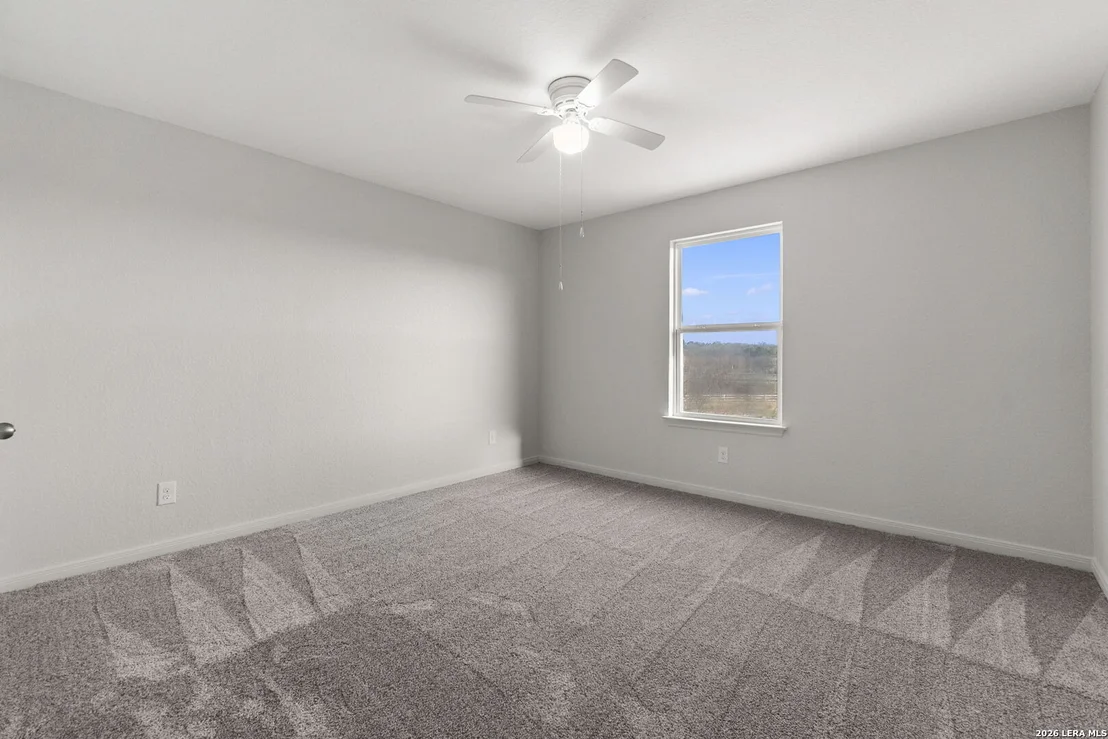Photo of 6341 Hibiscus