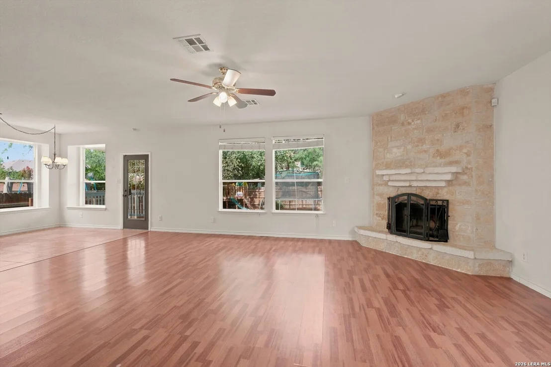 Photo of 802 Celosia