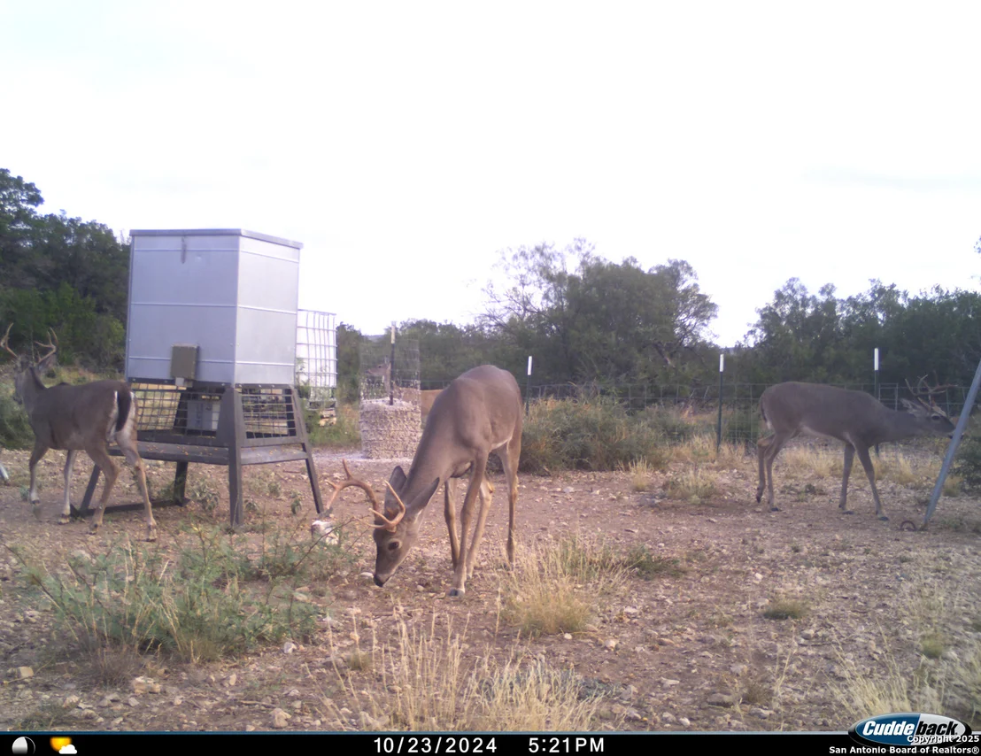 Photo of TBD Mailtrail Rd