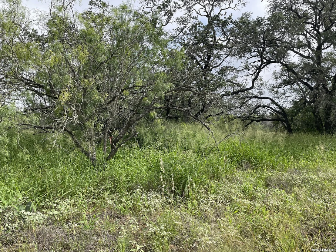 Photo of TRACT#8 12.31A County Road 777