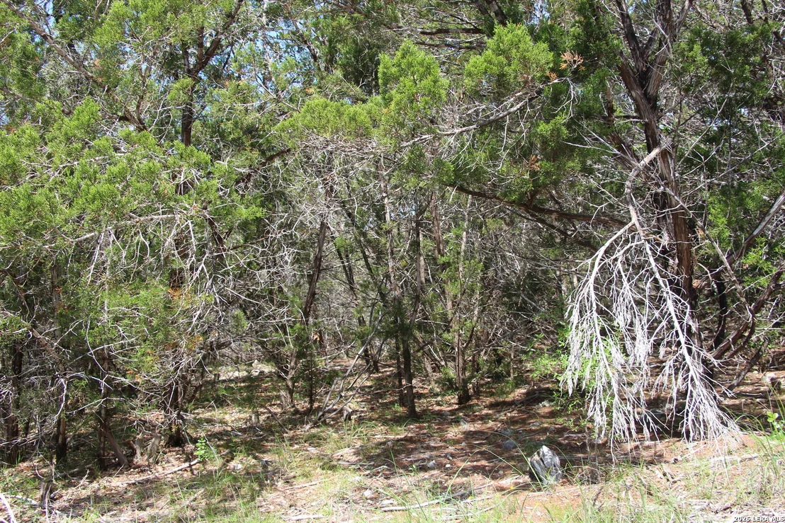 Photo of LOT 52 Clear Water Cyn