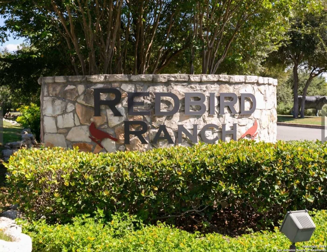 Photo of 219 ROSE SPOONBILL
