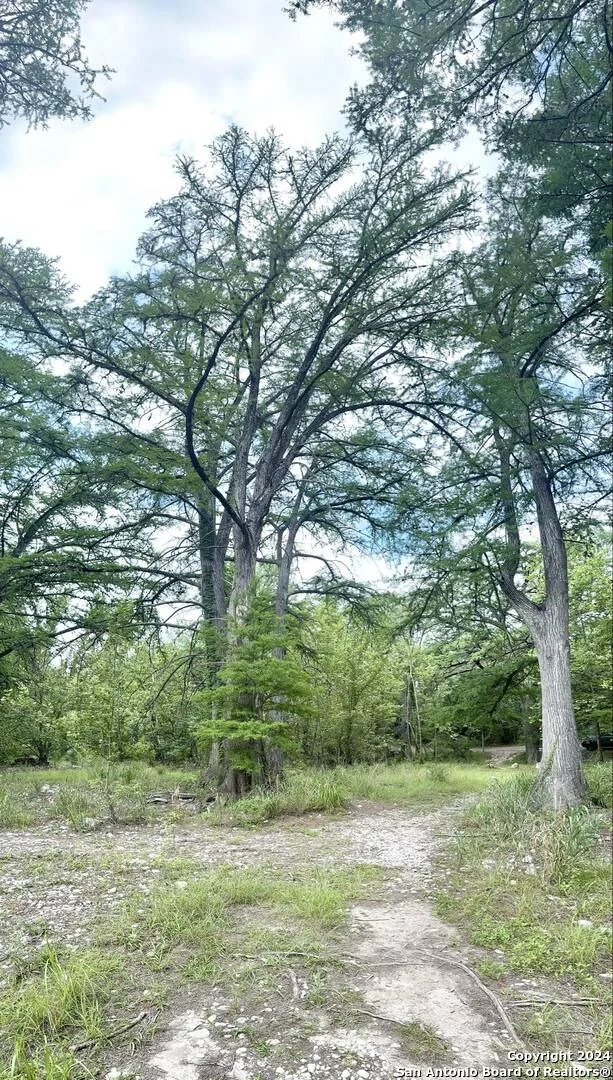 Photo of 29 LONESOME DOVE
