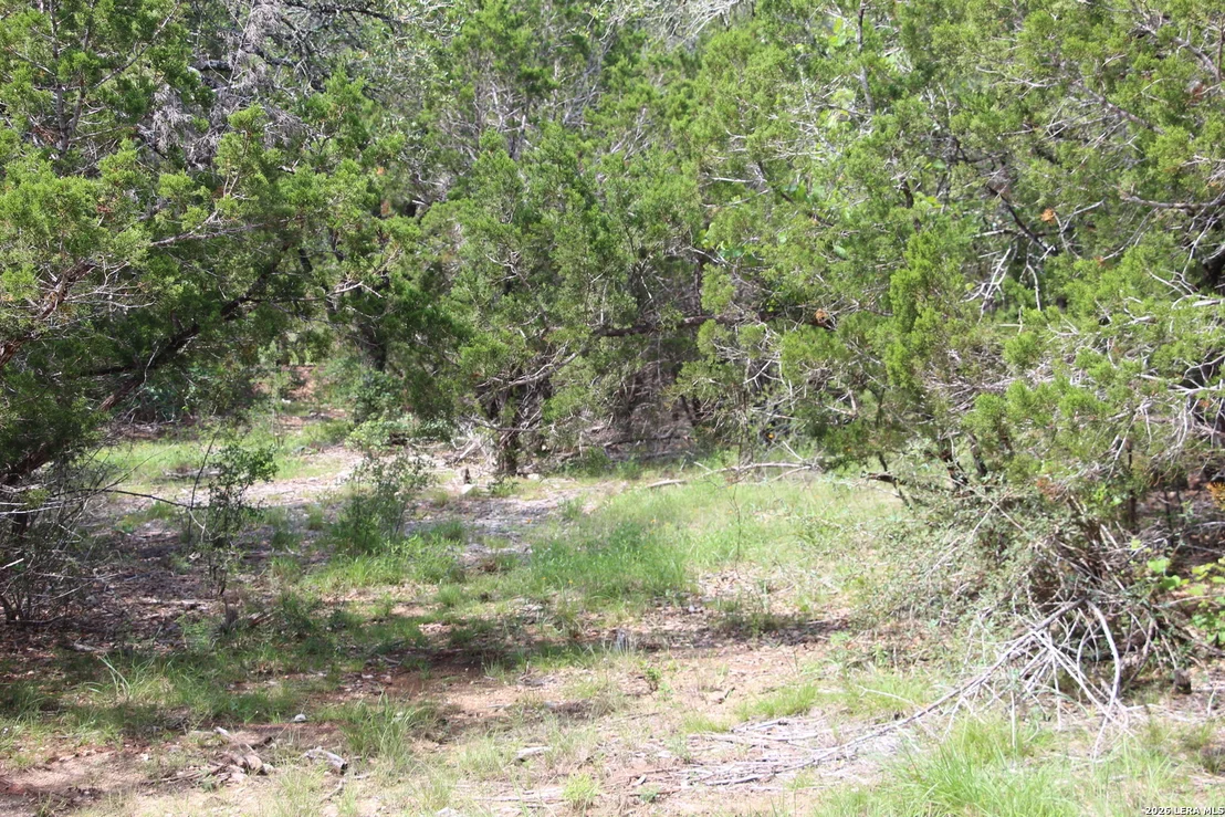 Photo of LOT 52 Clear Water Cyn