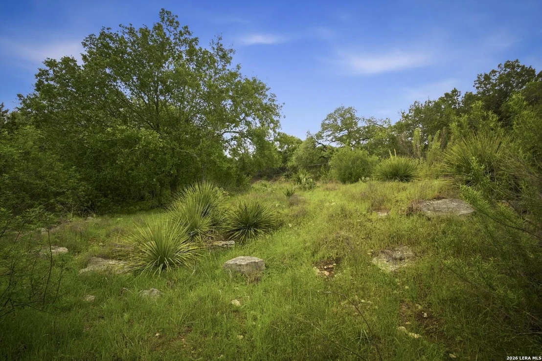 Photo of 31368 Wildcat Dr